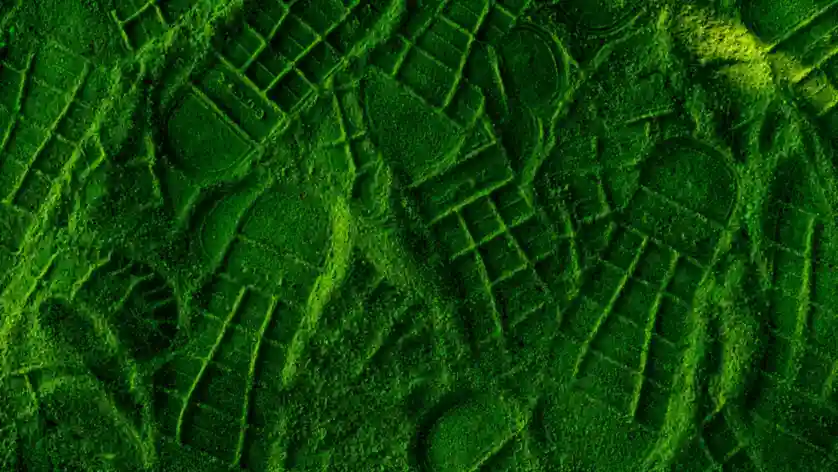 GreenSET