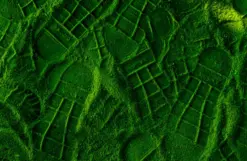 GreenSET