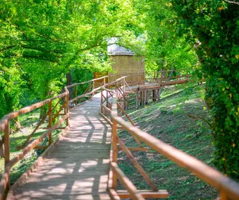 Dravska priča