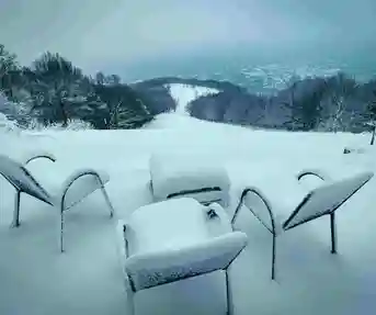 Japetić